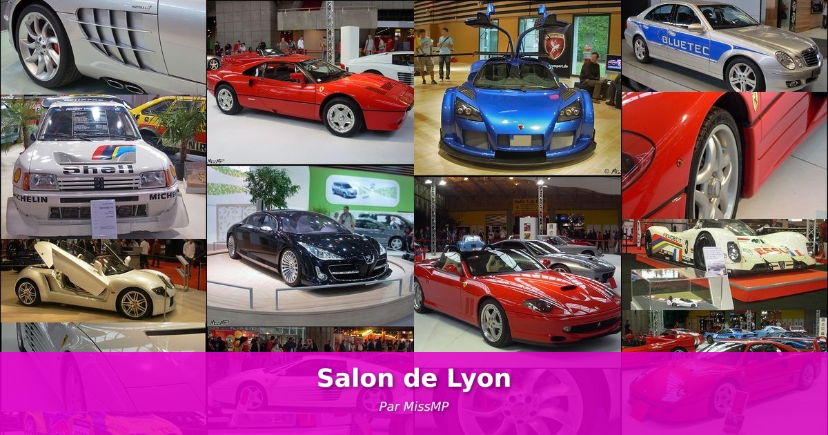 Salon de Lyon  - Galerie de MissMP