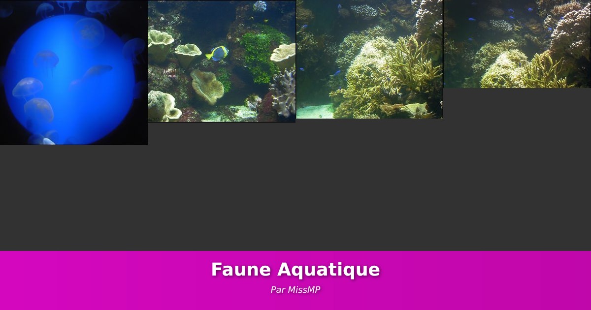 Faune Aquatique - Galerie de MissMP