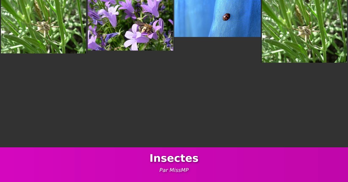 Insectes - Galerie de MissMP