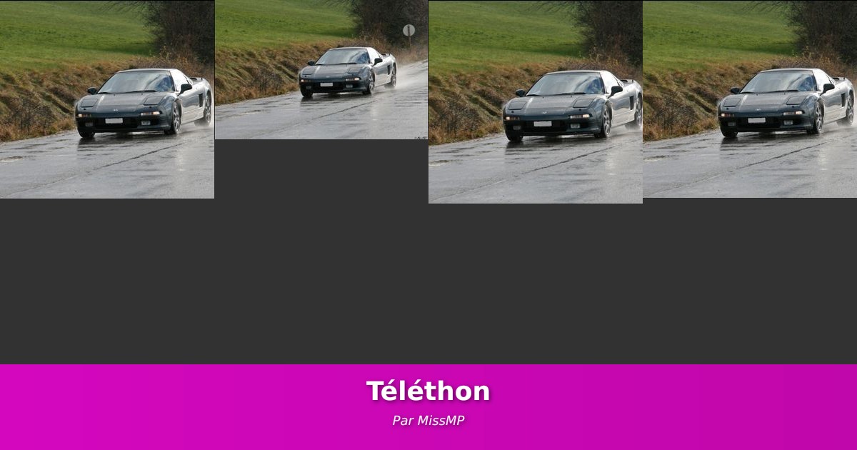 Téléthon - Galerie de MissMP