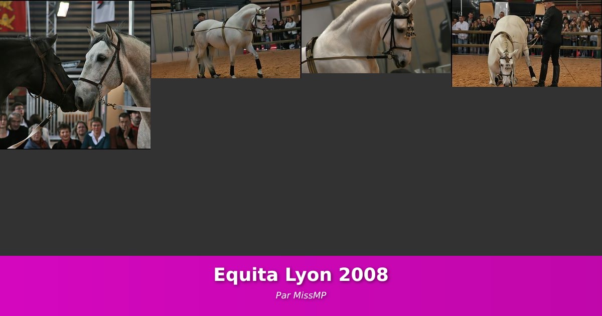 Equita Lyon 2008 - Galerie de MissMP