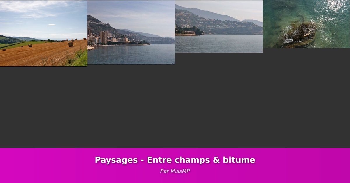 Paysages - Entre champs & bitume - Galerie de MissMP